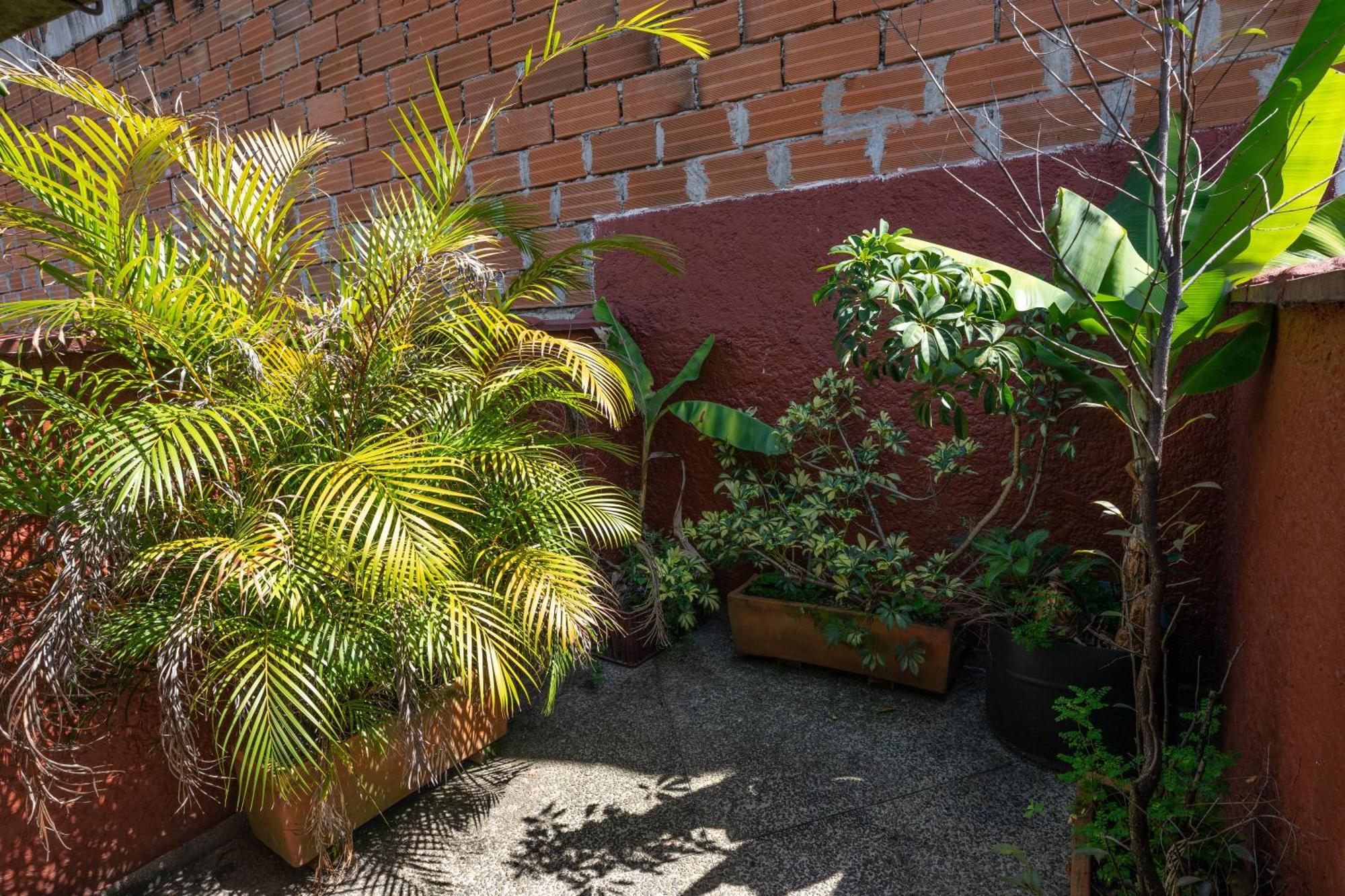 Oasis En El Corazon De Medellin, Laureles Lägenhet Exteriör bild